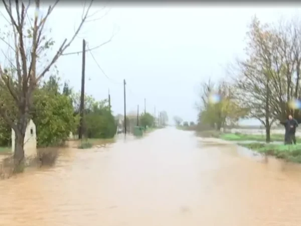 enipeas potamos 0.png