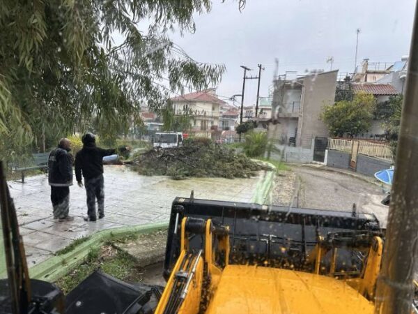 607168404 25473108215671735 1227967486949238759 n