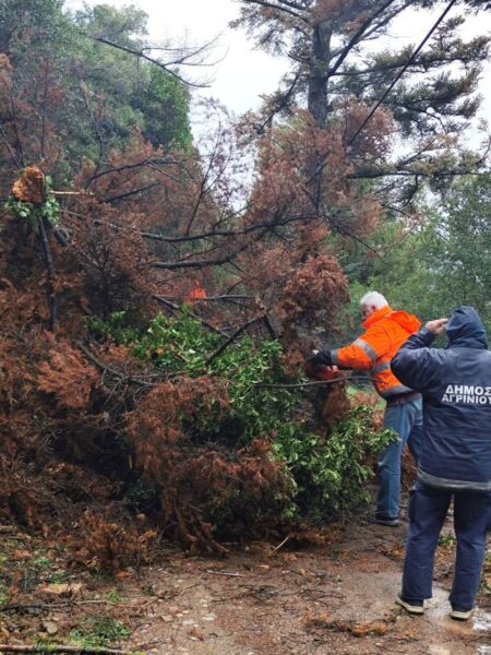 615828051 25626136207035601 5651904419913297808 n