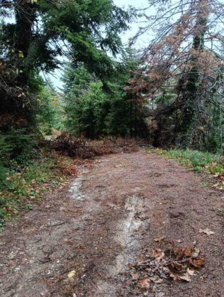 616322055 25626331413682747 1275415657922206286 n