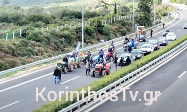 d00827cd agrotes nemea