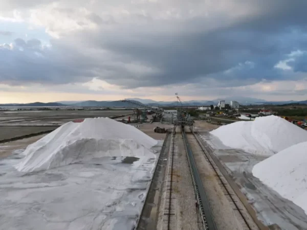 moyseio alatos 1.png