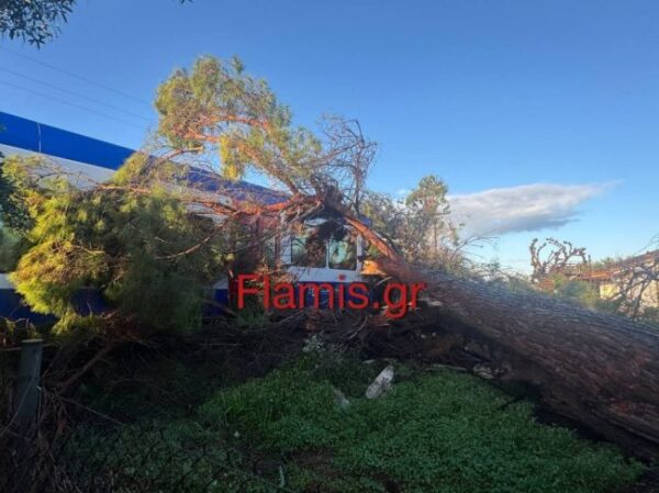 photo 2026 01 27 08 43 35 1024x766