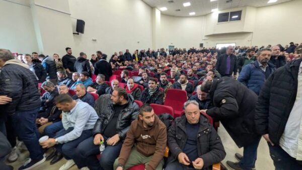 xrwma agrotes larisa