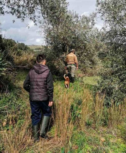 629529024 1965301820752672 1585596187761720968 n