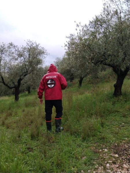 634234156 26246749401596558 7255702805284641637 n