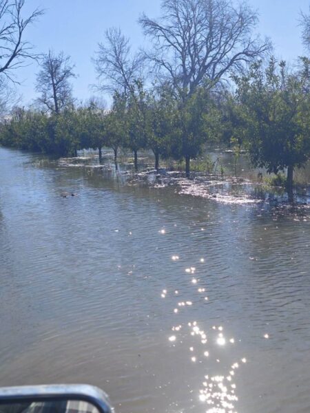 637486377 10240542096426836 3820414221733232967 n