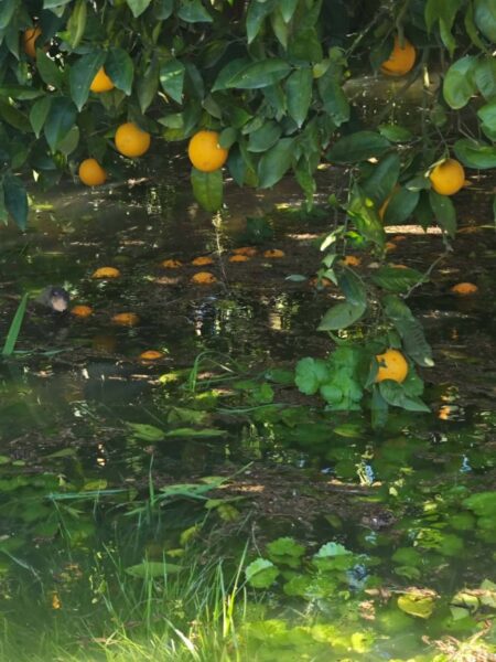 637494417 10240542093306758 7544347997082940120 n