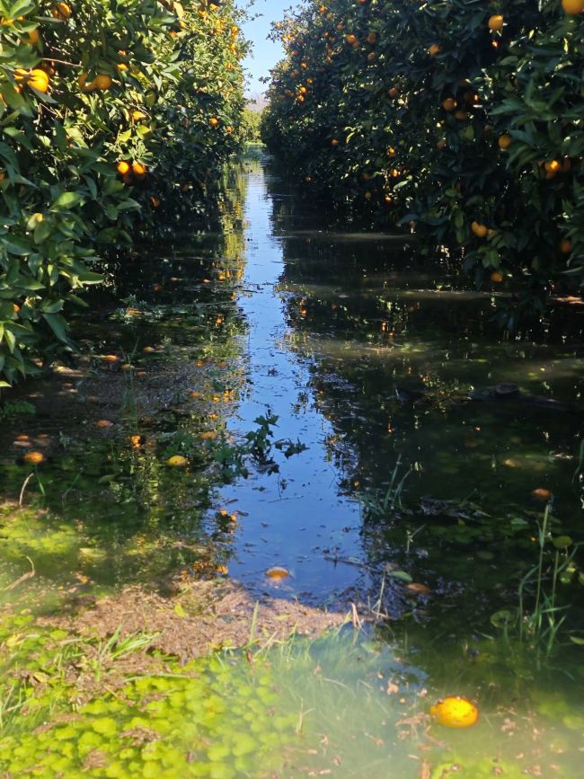 637648924 10240542095626816 609416228789545197 n