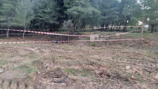 xrwma kokkala xalkidiki