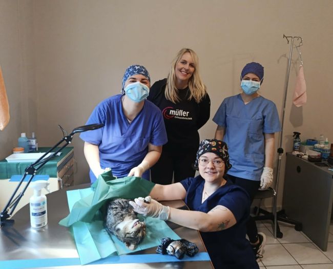 ΣΤΕΙΡΩΣΕΙΣ 2