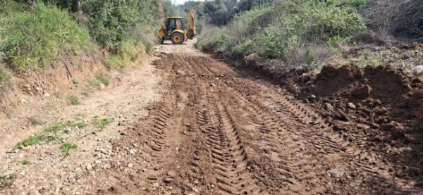 645807304 26034317806217437 1452163106759517905 n