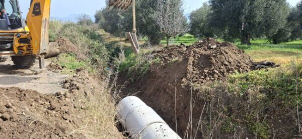 647201785 26034313799551171 7256284570795151529 n