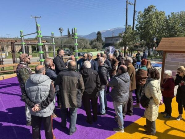 649114595 10244436078295955 7283813289843102410 n