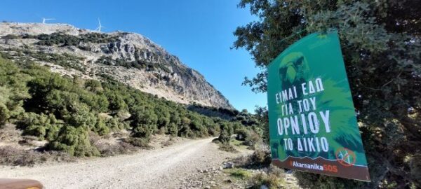 unnamed 2026 03 31t125317.580