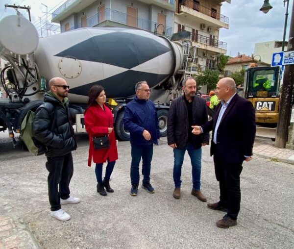 ΔΕΔΔΗΕ ΨΑΝΗ 2