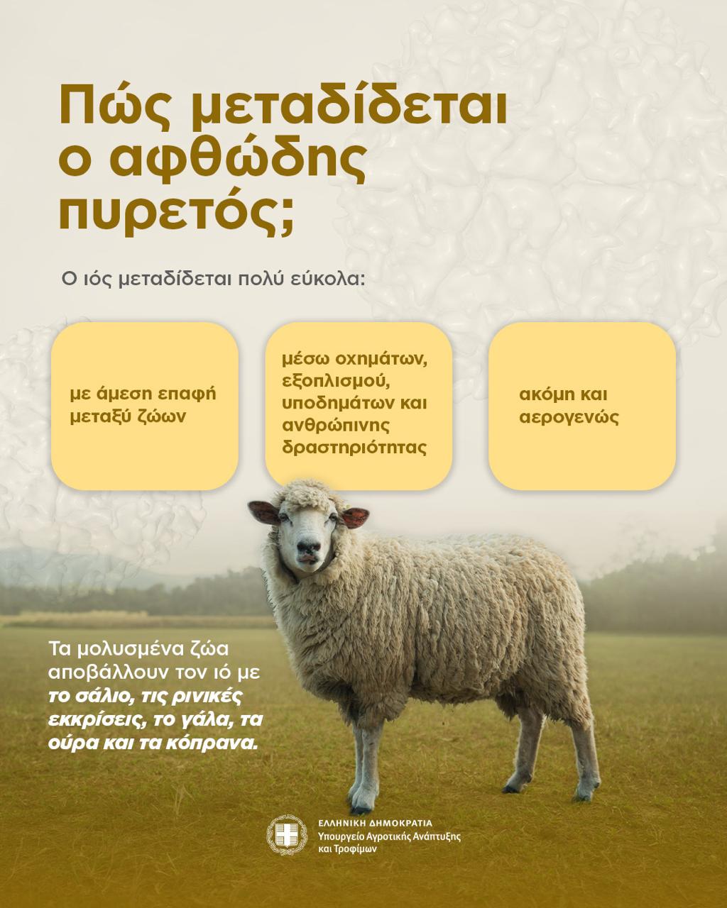 ΚΑΡΤΑ 3
