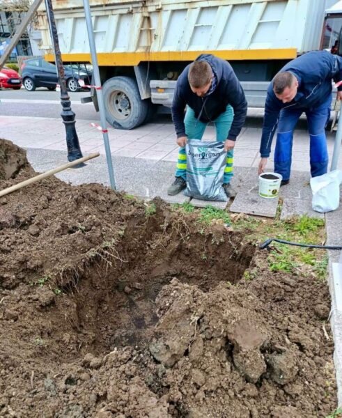 ΦΥΤΕΥΣΕΙΣ 2