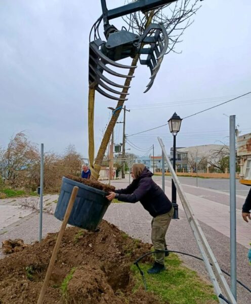 ΦΥΤΕΥΣΕΙΣ 3