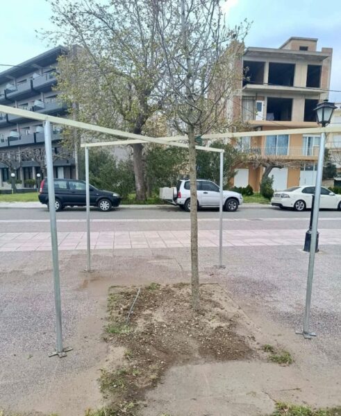 ΦΥΤΕΥΣΕΙΣ 4