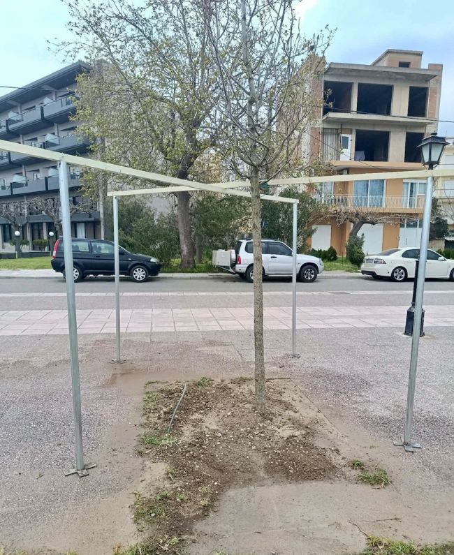 ΦΥΤΕΥΣΕΙΣ 4