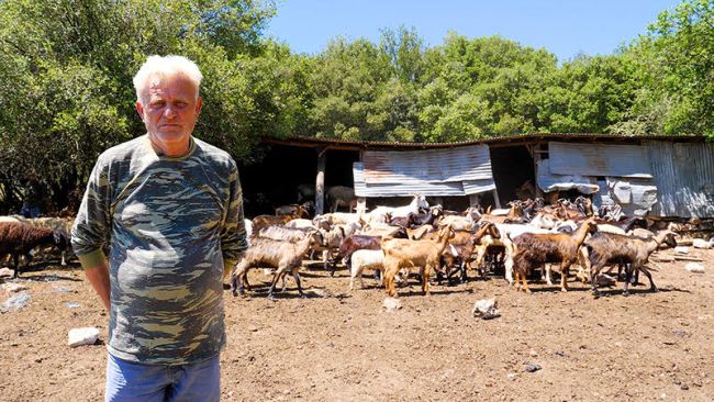 unnamed 2026 04 29t213644.532