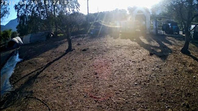 ΚΛΟΠΗ ΣΤΟΝ ΜΥΤΙΚΑ ΑΙΤΝΙΑΣ 19 ΑΠΡ 2026