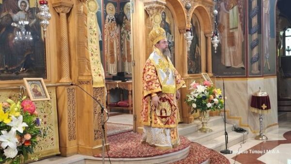 damaskhnosagrinio