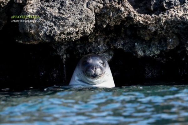 unnamed (11)