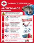 Λαγοκέφαλος (1)