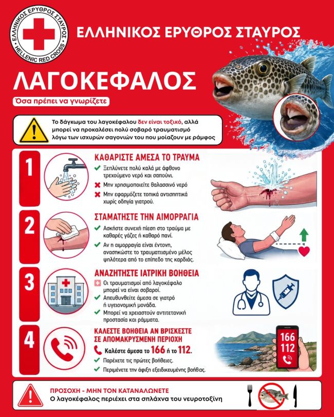 Λαγοκέφαλος (1)