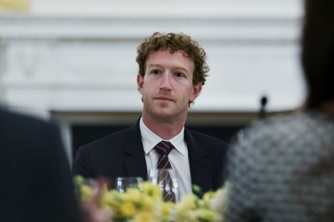 zuckerberg nn