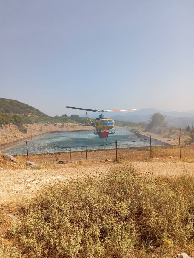 καλλ