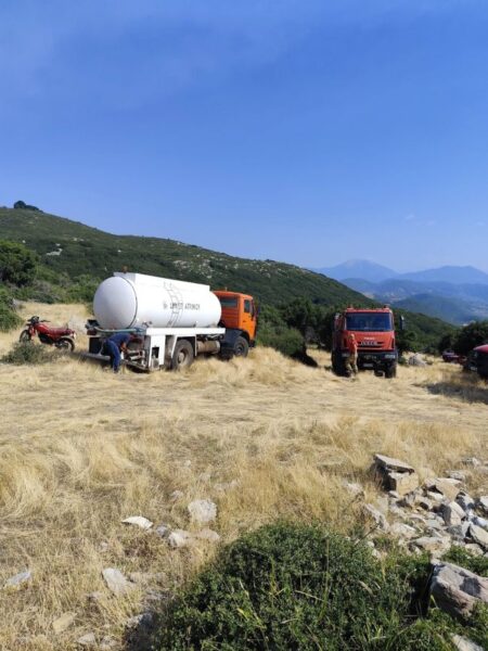 καλλιθεα