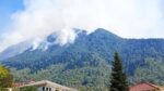 fotia konitsa new
