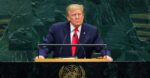 maketa trump 2