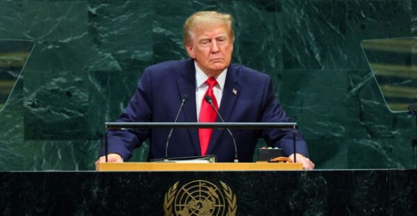 maketa trump 2