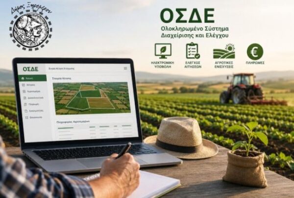 ΜΕΤΑΒΙΒΑΣΗ ΔΙΚΑΙΩΜΑΤΩΝ