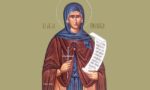 osia pelagia gf