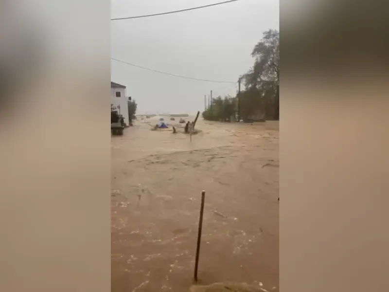 platanias magnisias