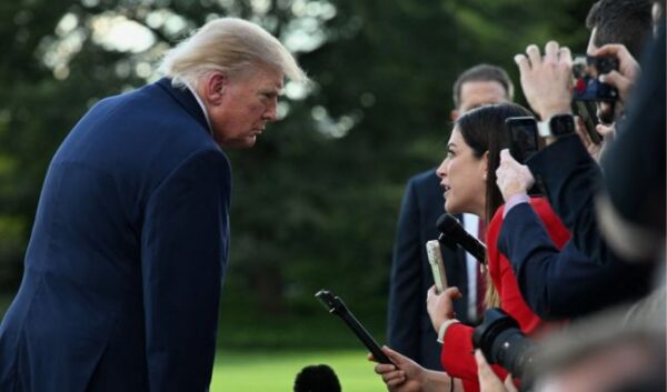 trump reporter